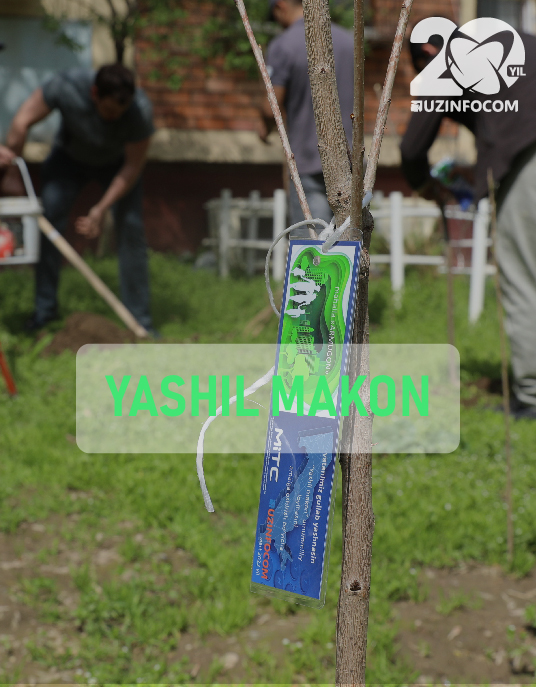 "Yashil makon" dasturi